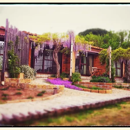 Agriturismo Casa Caponetti * Tuscania