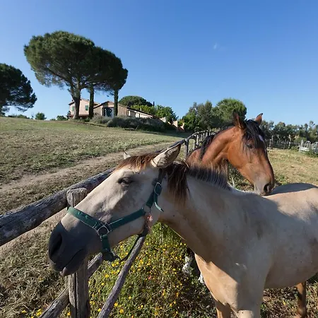 Agriturismo Casa Caponetti