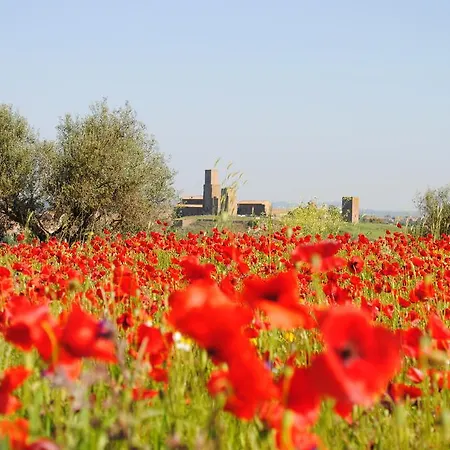 Agriturismo Casa Caponetti * Tuscania